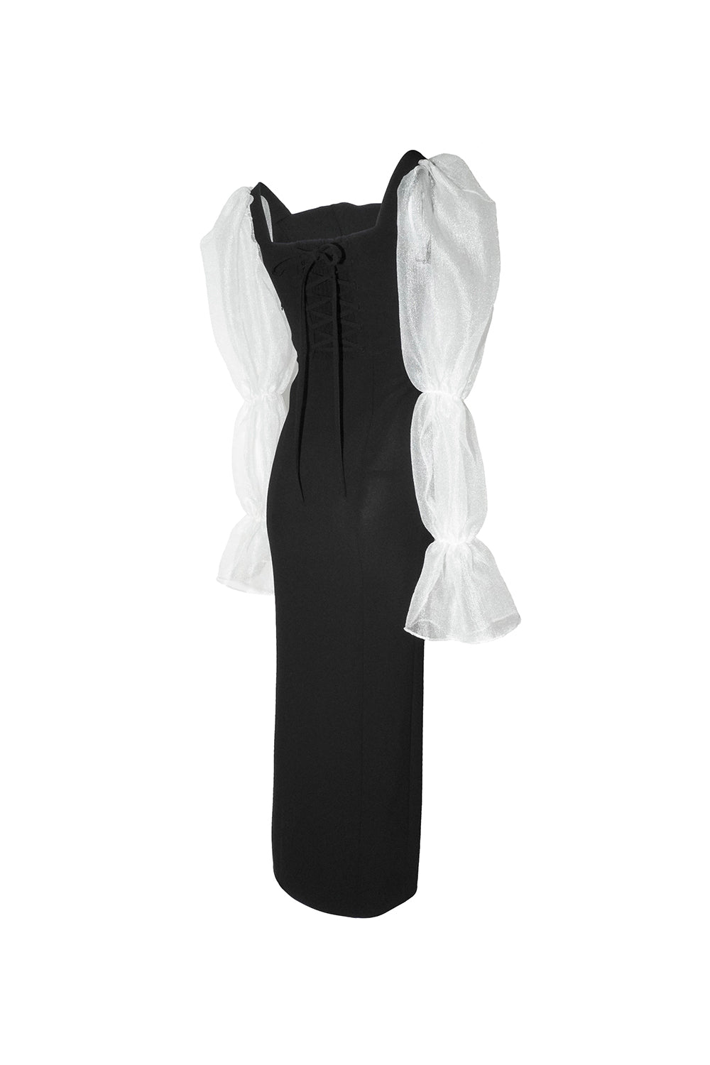 corset swiched sheer dress