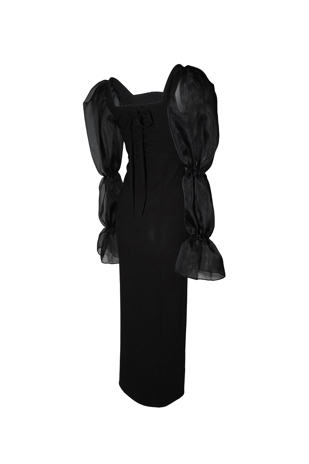 corset swiched sheer dress