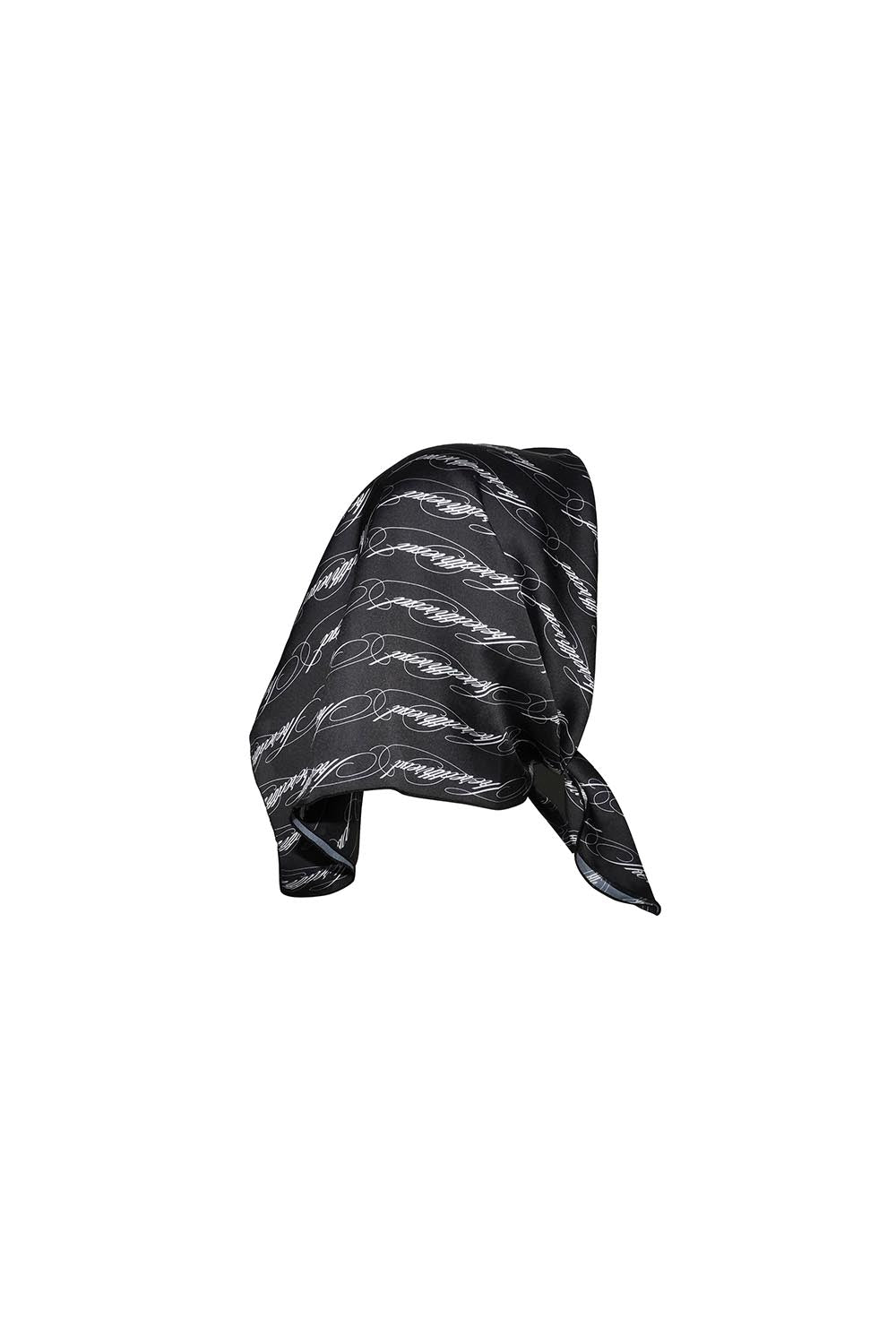 S signature script scarf