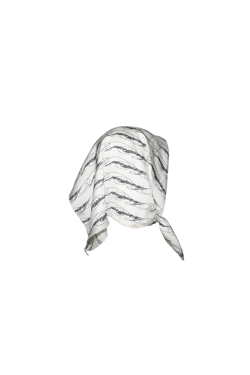 S signature script scarf
